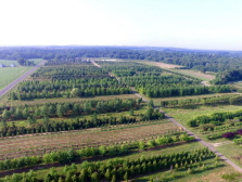 Arial view of our nursery